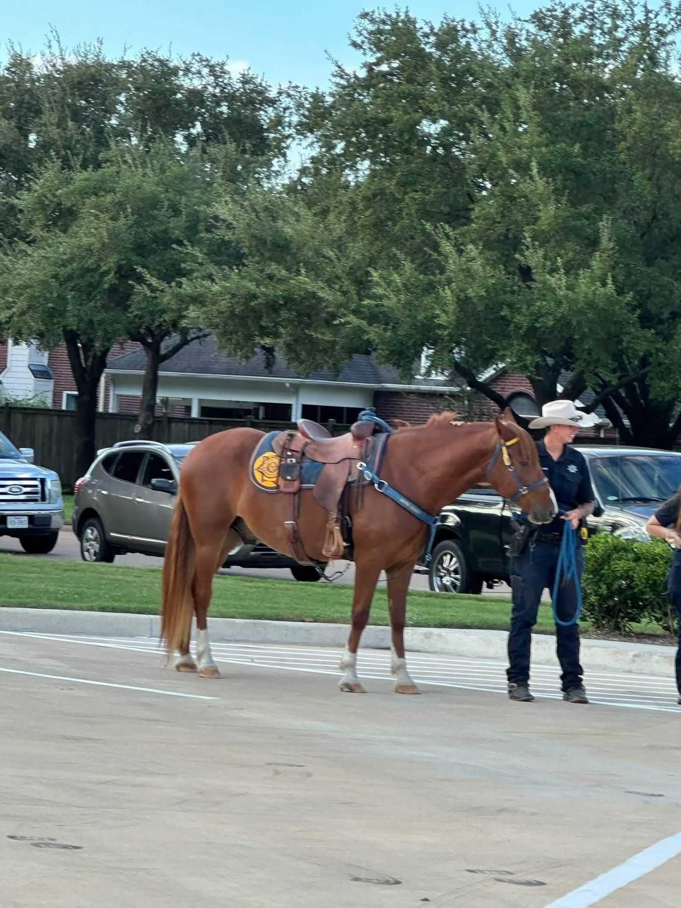 Mounted sheriff’s horse stands with a deputy handler in a parking lot during a community event, with parked vehicles, trees, and neighborhood homes in the background.